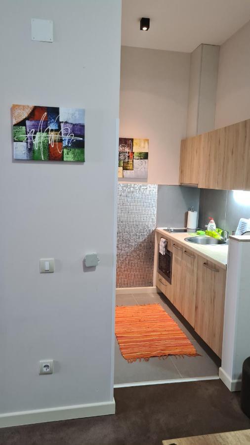 Apartman No1,Zupa Wellness & Spa コパオニク エクステリア 写真